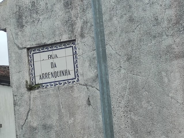 Lote 1