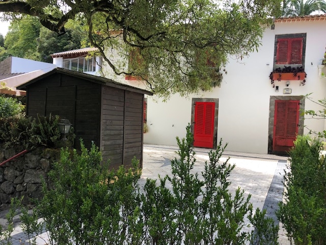 Lote 7
