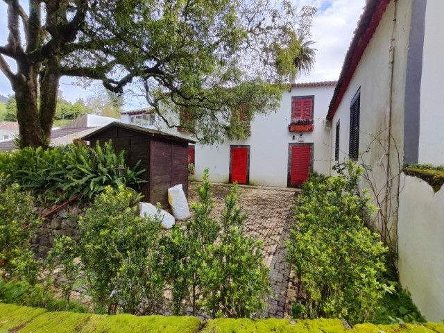 Lote 7